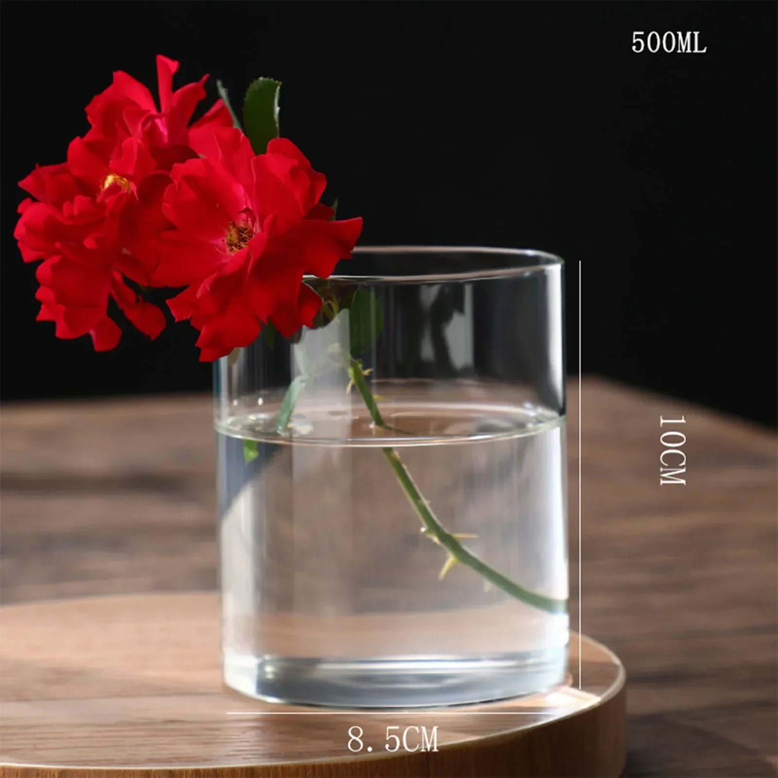 DecorBites™ Modern Glass Hydroponic Vase for Wedding Decor