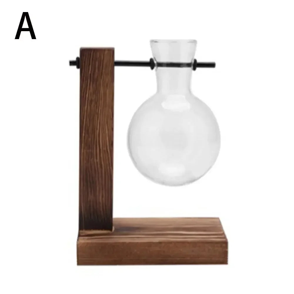 DecorBites™ Transparent Avocado Seed Starter Vase