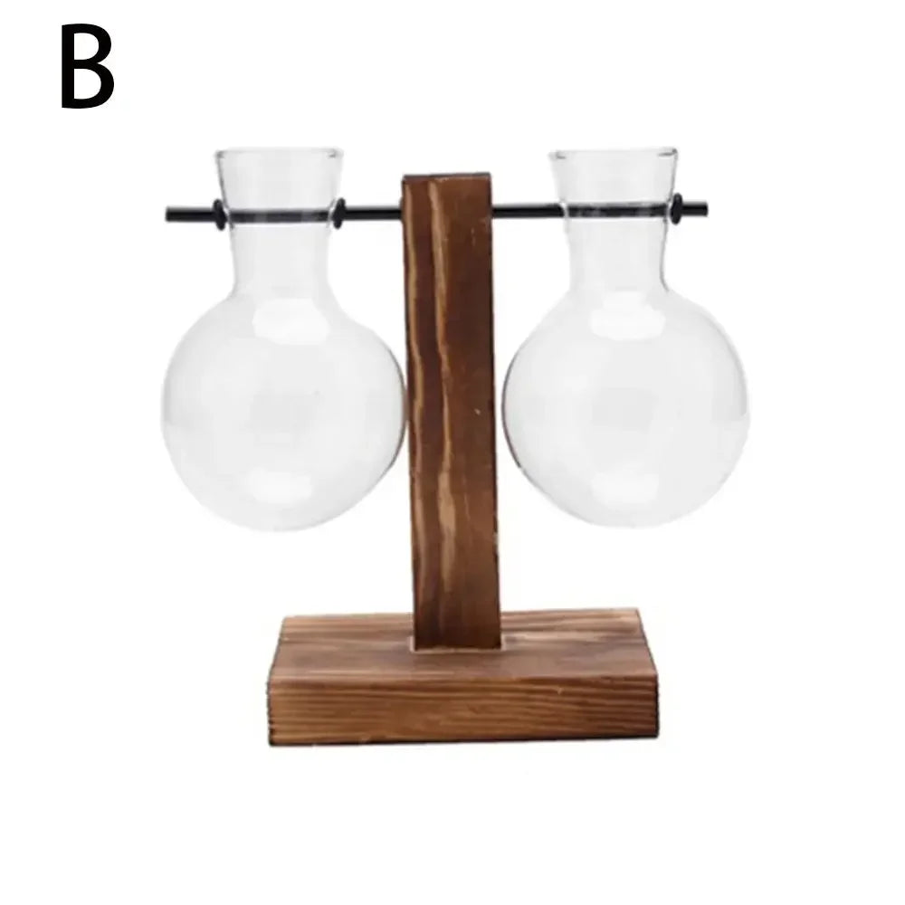 DecorBites™ Transparent Avocado Seed Starter Vase