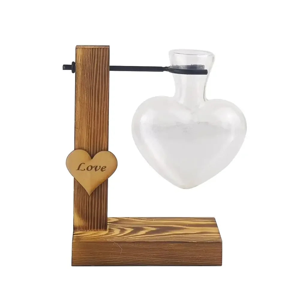 DecorBites™ Transparent Avocado Seed Starter Vase