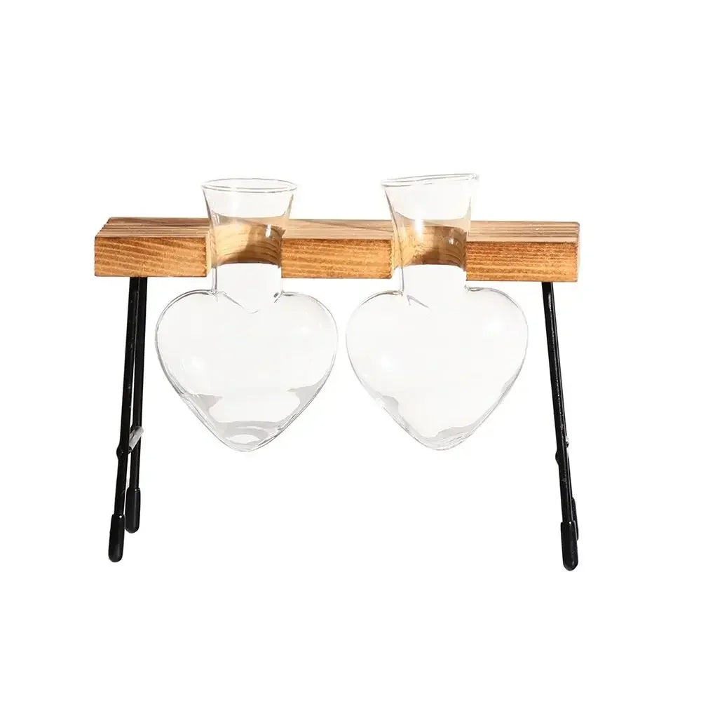 DecorBites™ Transparent Avocado Seed Starter Vase