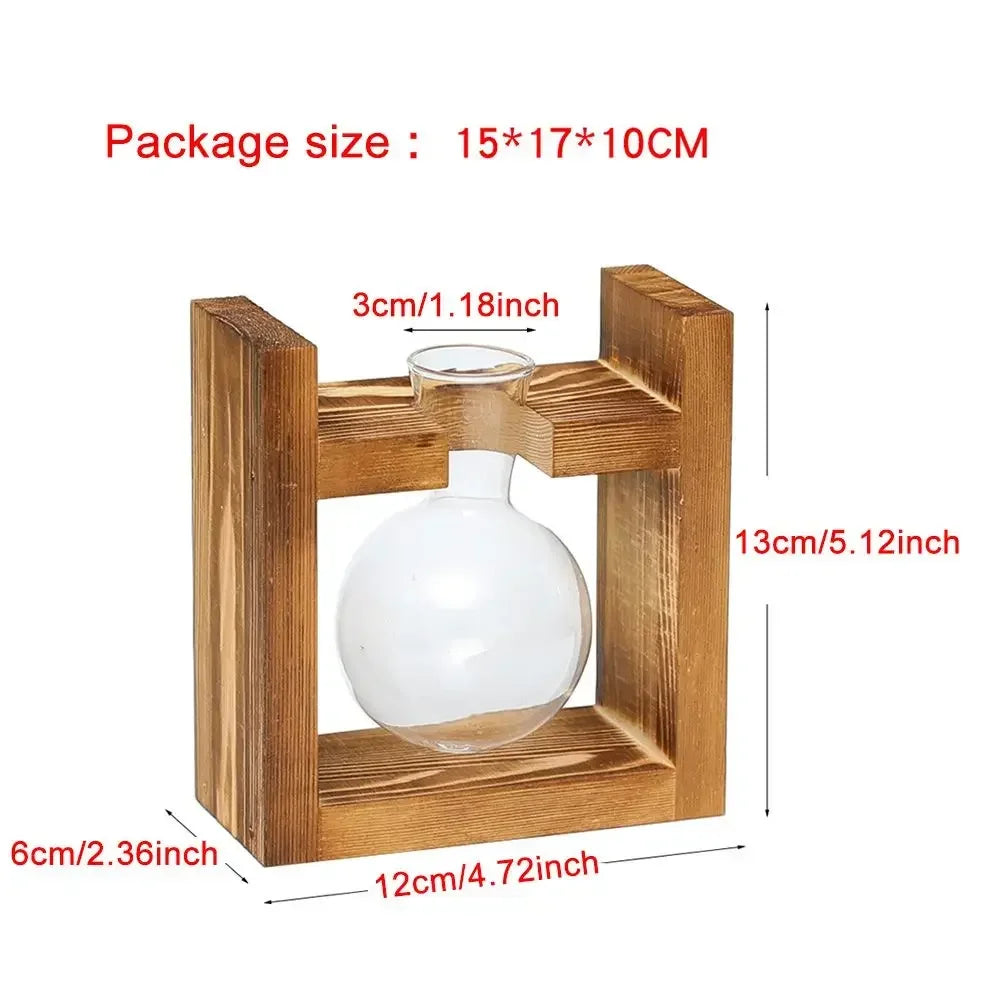 DecorBites™ Transparent Avocado Seed Starter Vase