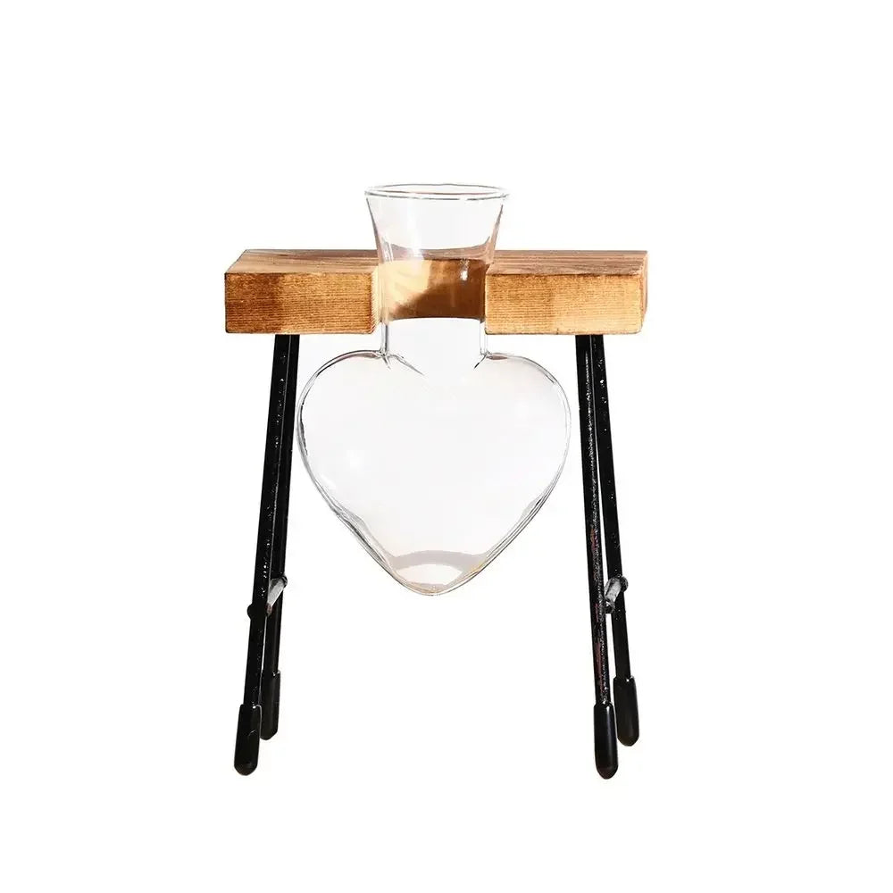 DecorBites™ Transparent Avocado Seed Starter Vase