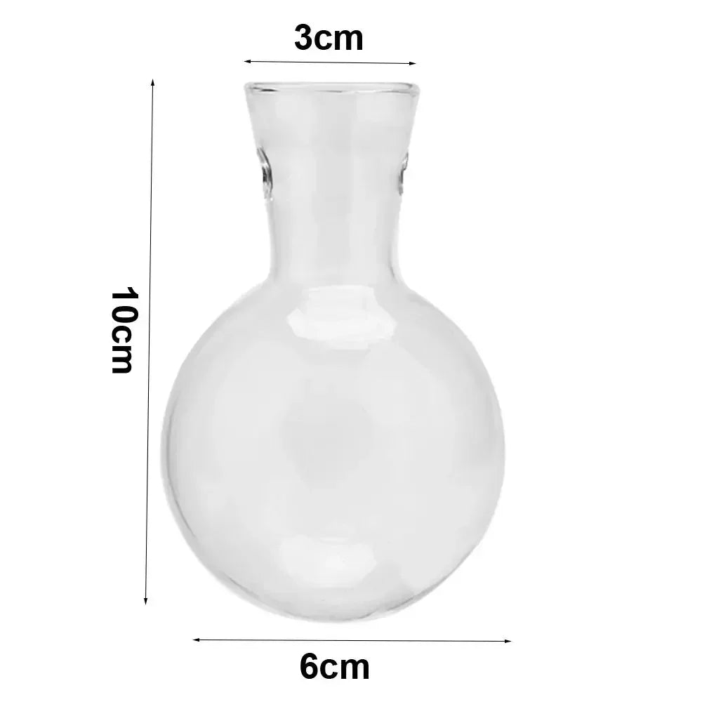 DecorBites™ Transparent Avocado Seed Starter Vase
