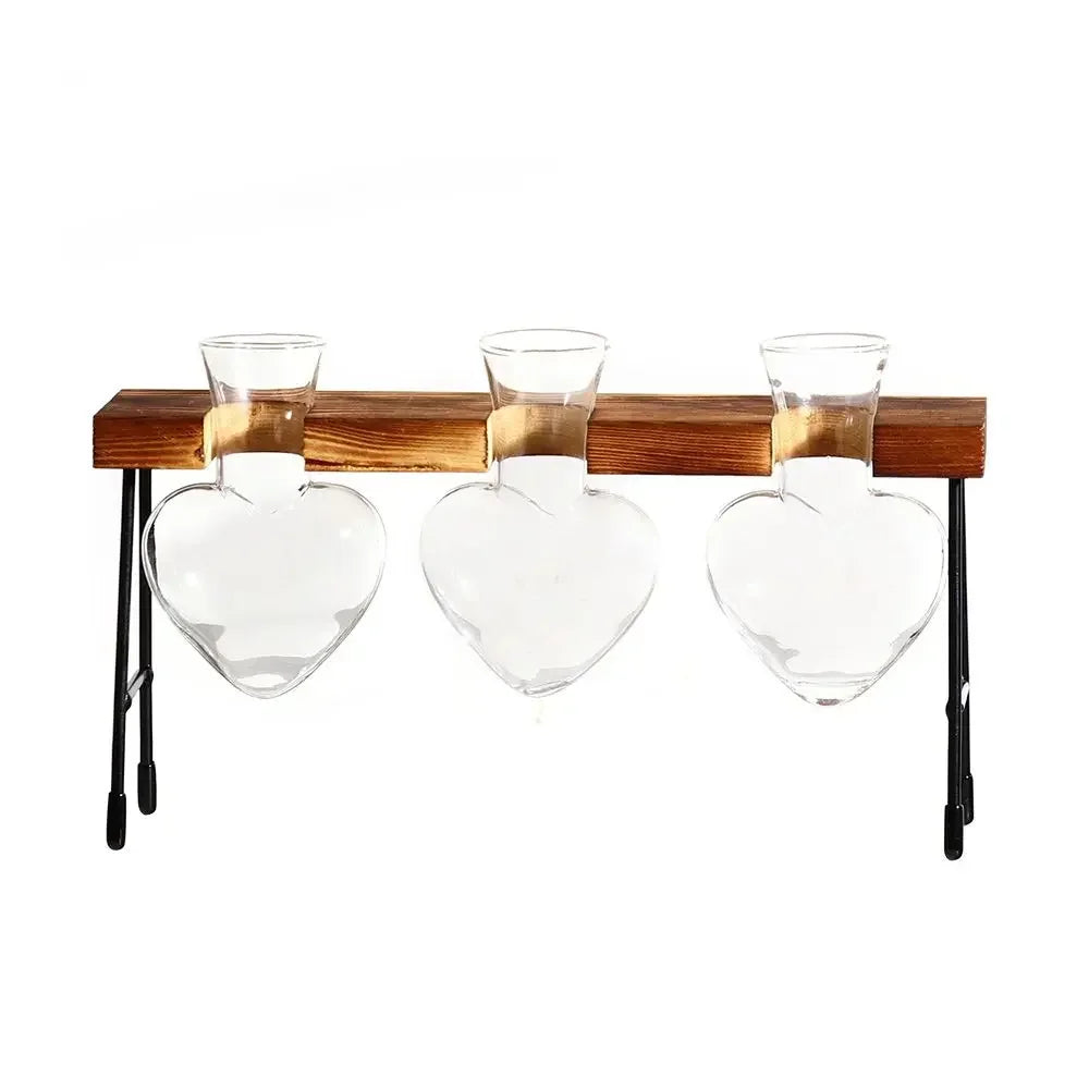 DecorBites™ Transparent Avocado Seed Starter Vase