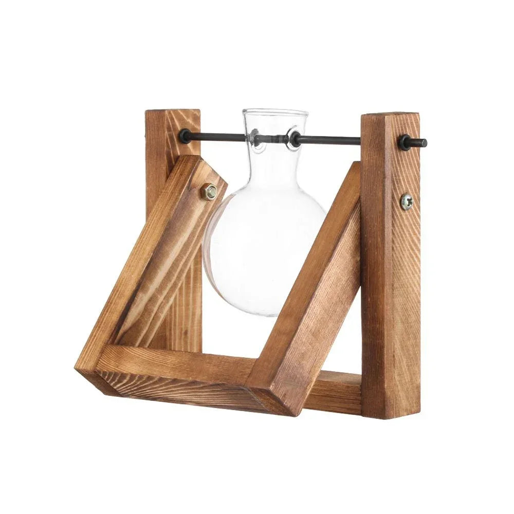 DecorBites™ Transparent Avocado Seed Starter Vase