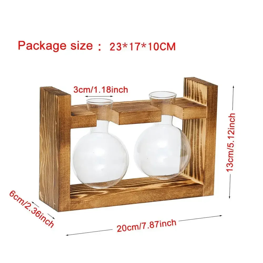DecorBites™ Transparent Avocado Seed Starter Vase