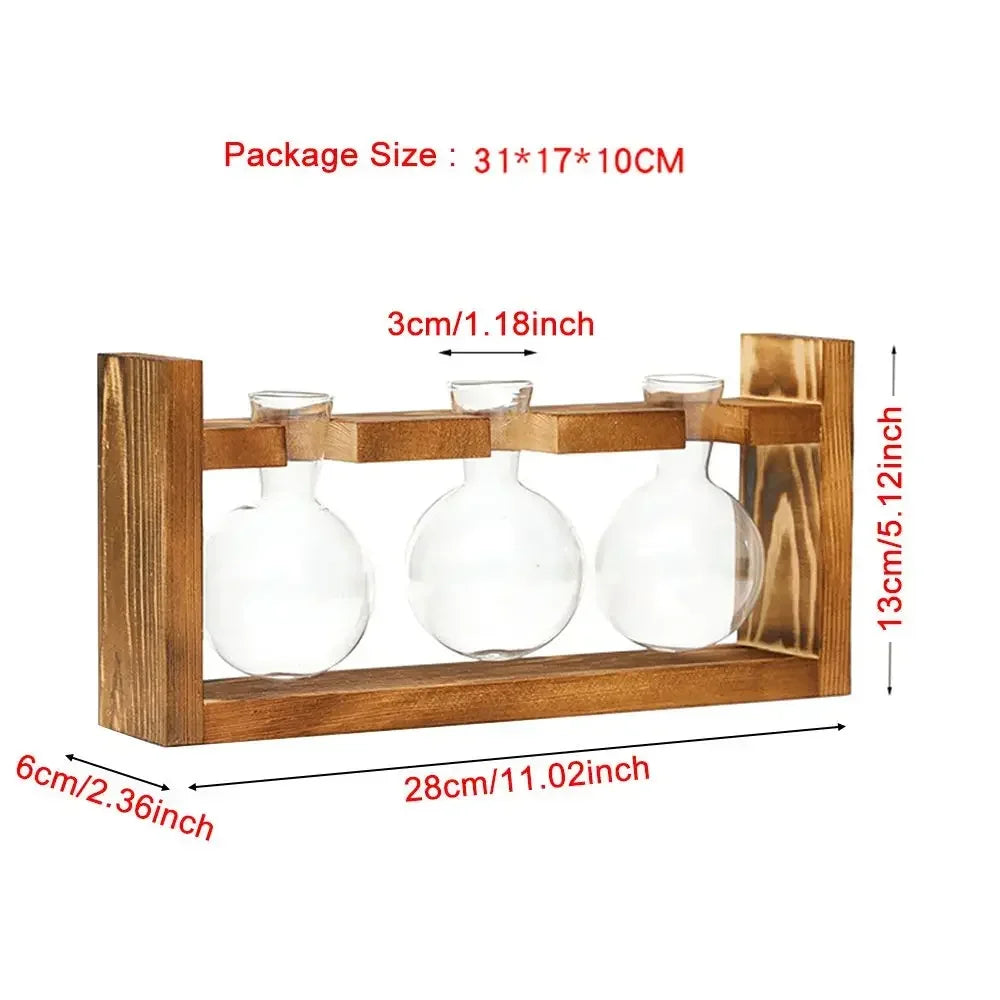 DecorBites™ Transparent Avocado Seed Starter Vase