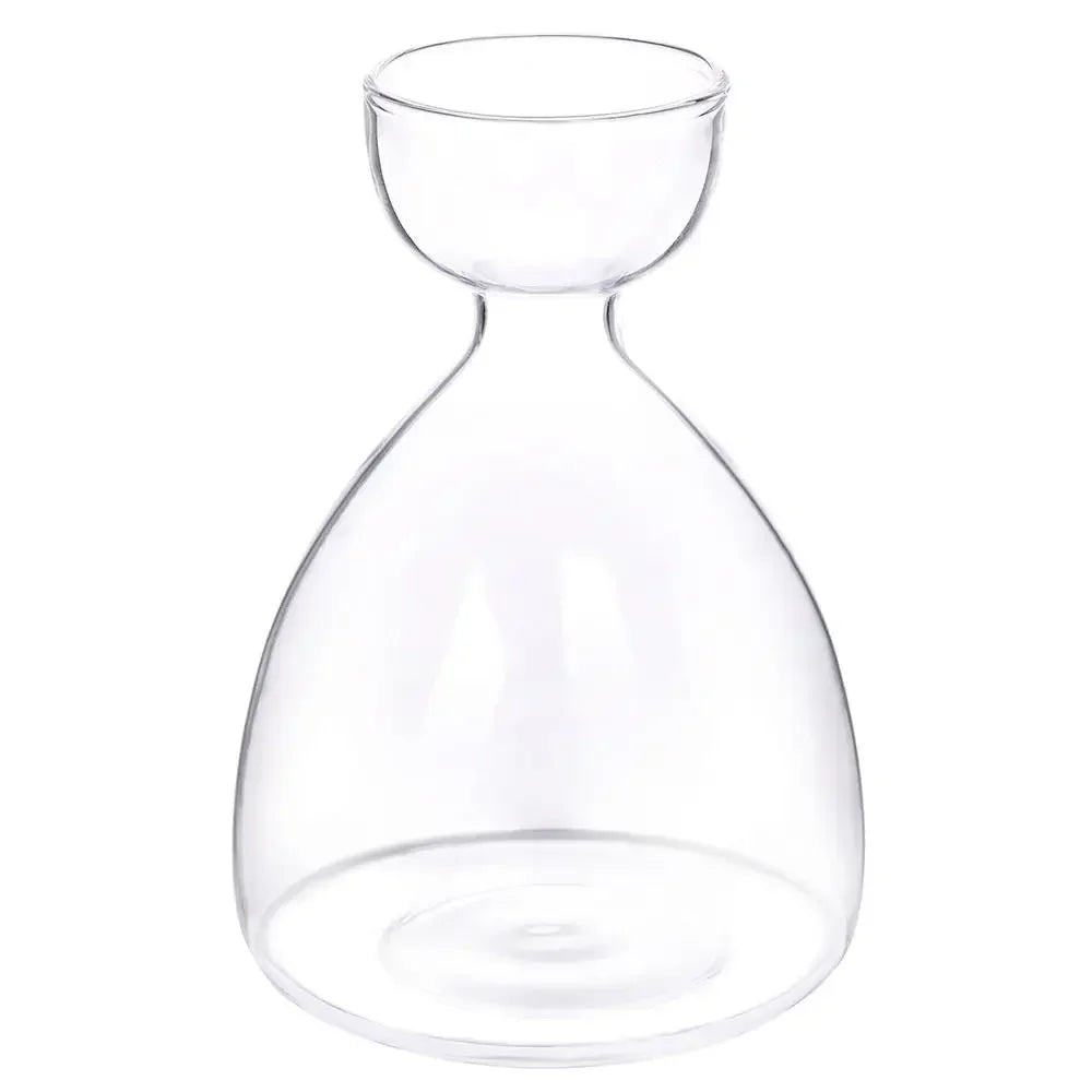 DecorBites™ Transparent Avocado Seed Starter Vase