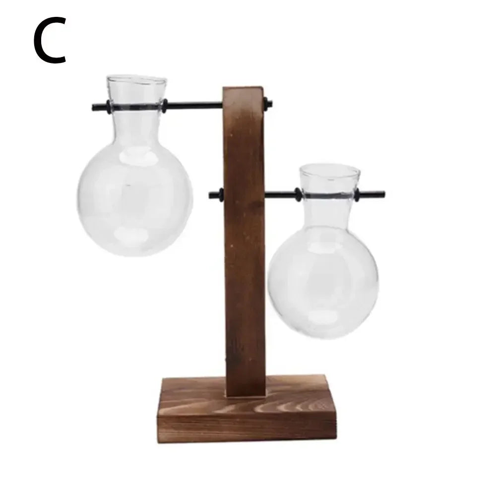 DecorBites™ Transparent Avocado Seed Starter Vase