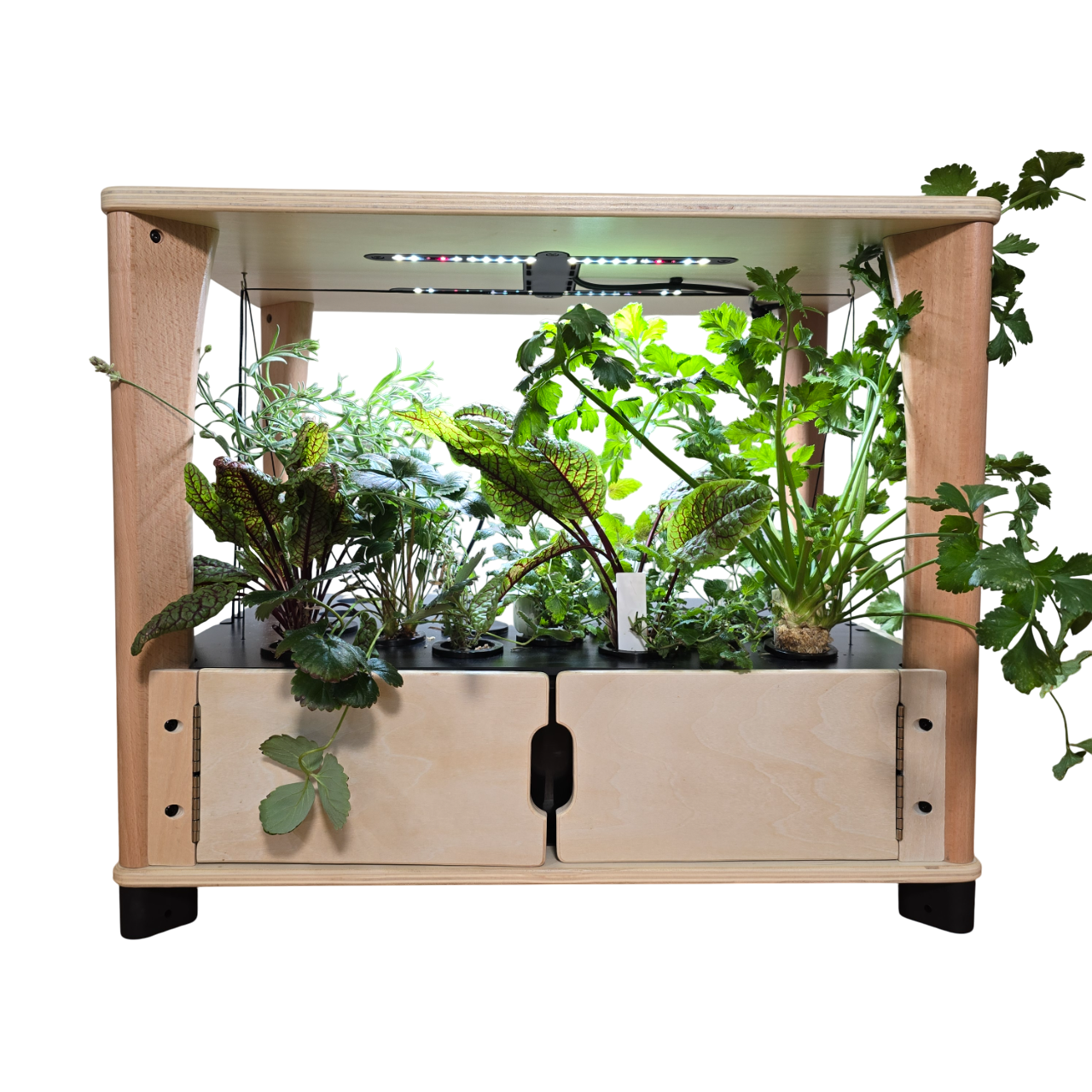 Hydroponic Home Farm