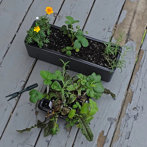 Weeder/Dibber Tools