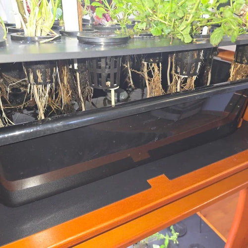 13L Water Tank