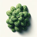 Oregano (Greek) (4x)