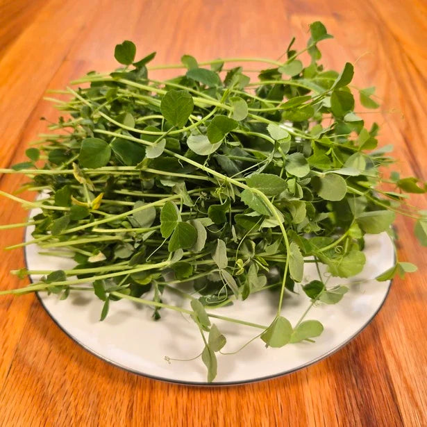 Pea Shoots (Field)