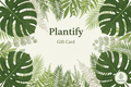 Plantify Gift Card - The Perfect Gift for Plant Lovers