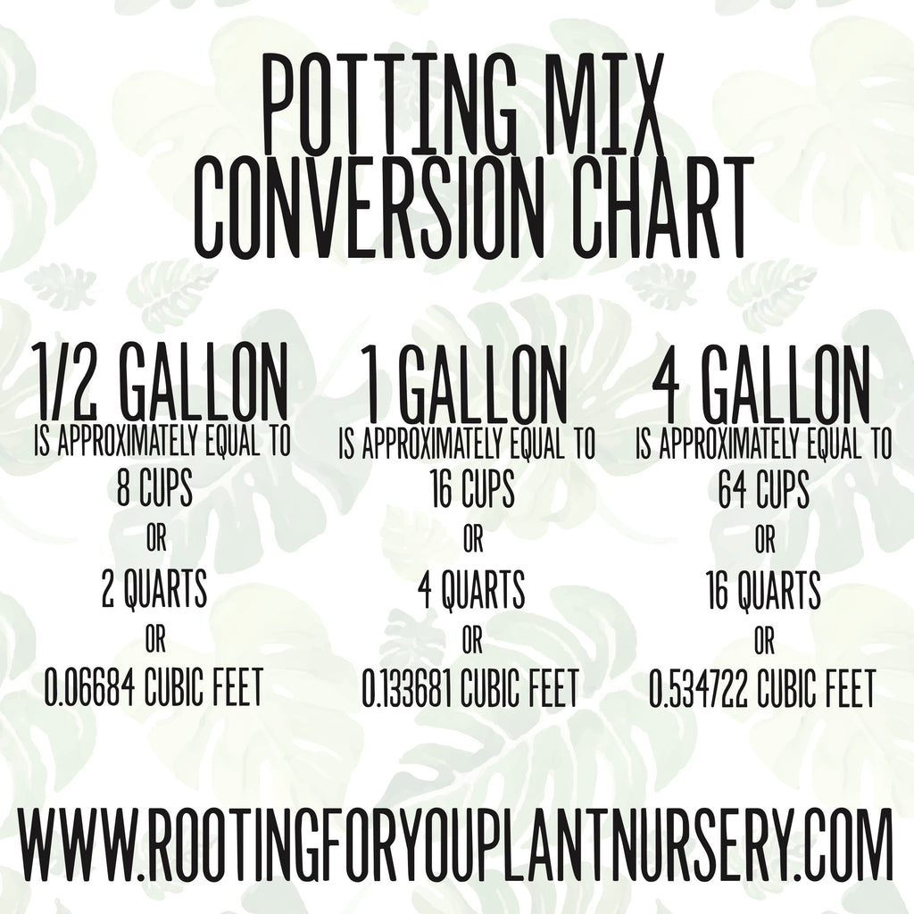 TERRARIUM Premium Potting Mix