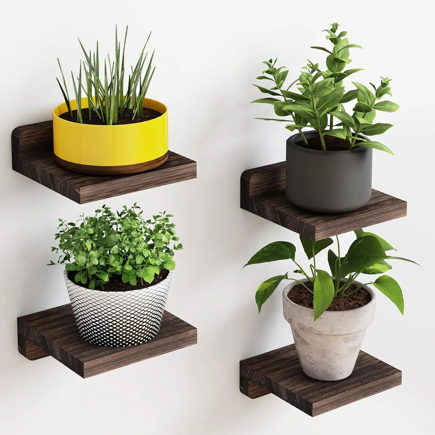 DecorBites™ Small Wood Floating Shelves 4-Pack