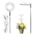 Timing Dimming Plant Grow Light for Succulent Bonsai Plants